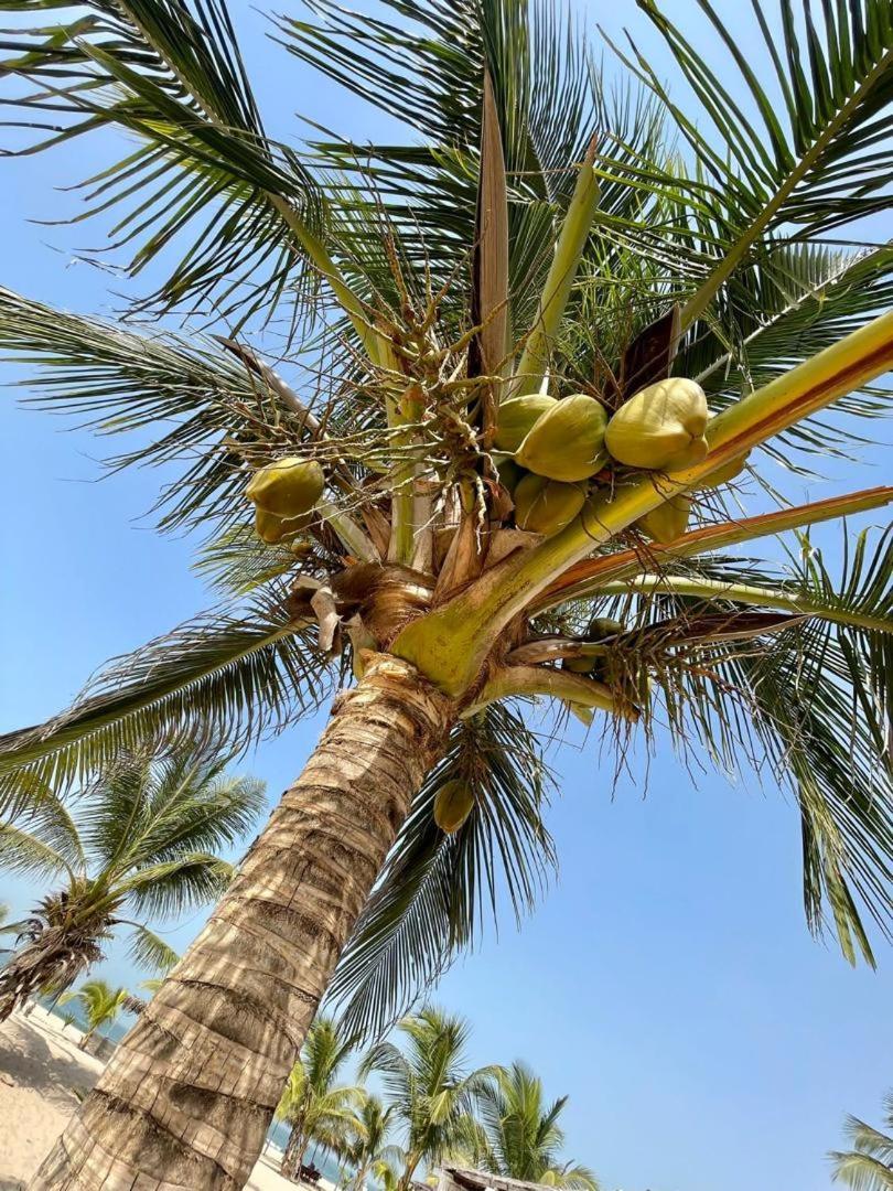 Santana Beachclub Sanyang Bagian luar foto